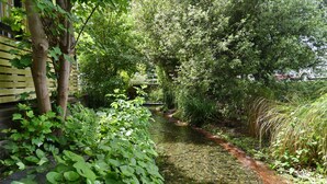 A narrow water channel flanked by lush greenery and a wooden structure. - Clyde 106 (Christchurch)