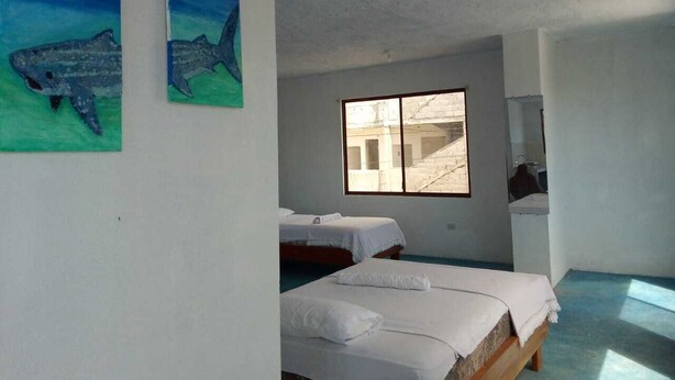 A room with two beds, a window with a view of buildings, and two shark paintings on the wall.