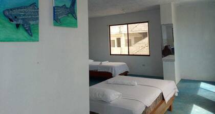 Rich to Rest !!!come and enjoy Galapagos