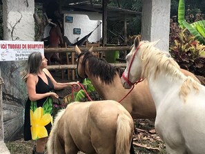 Imagen sin descripción, 5 de 8, botón