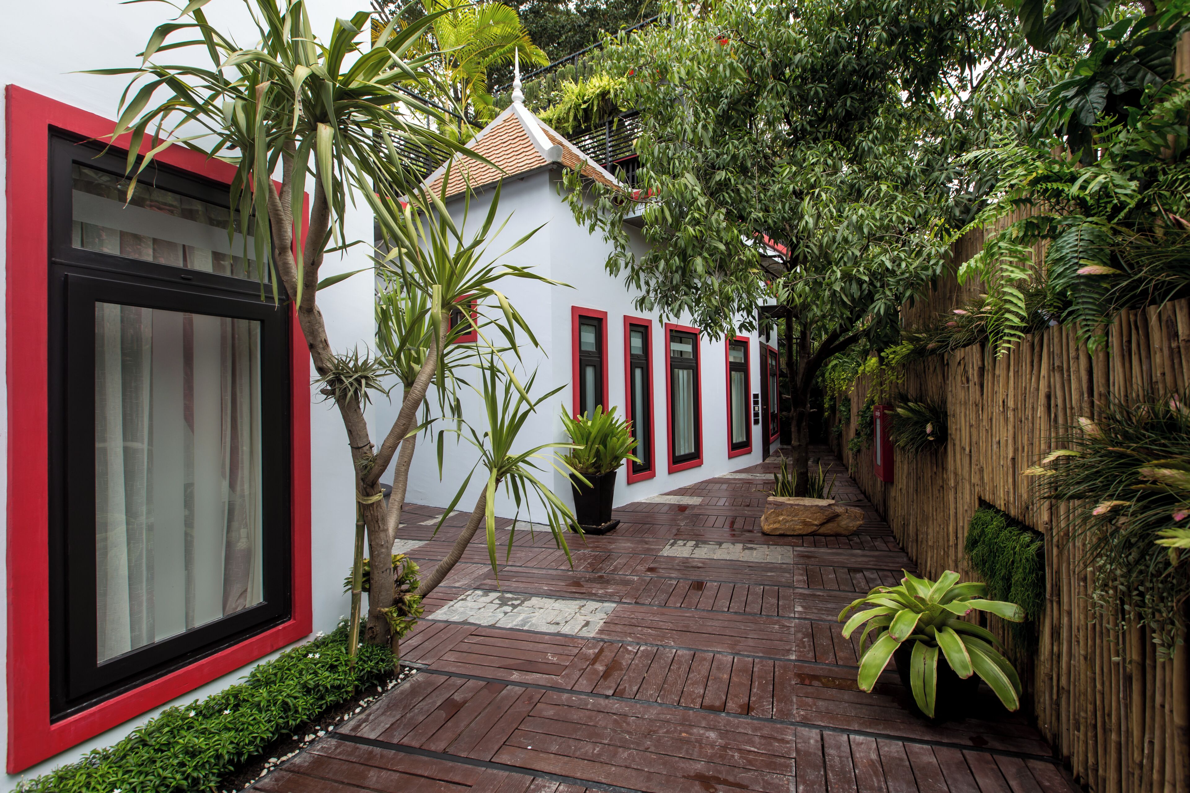 A narrow wooden pathway flanked by lush greenery and a white building with red accents.