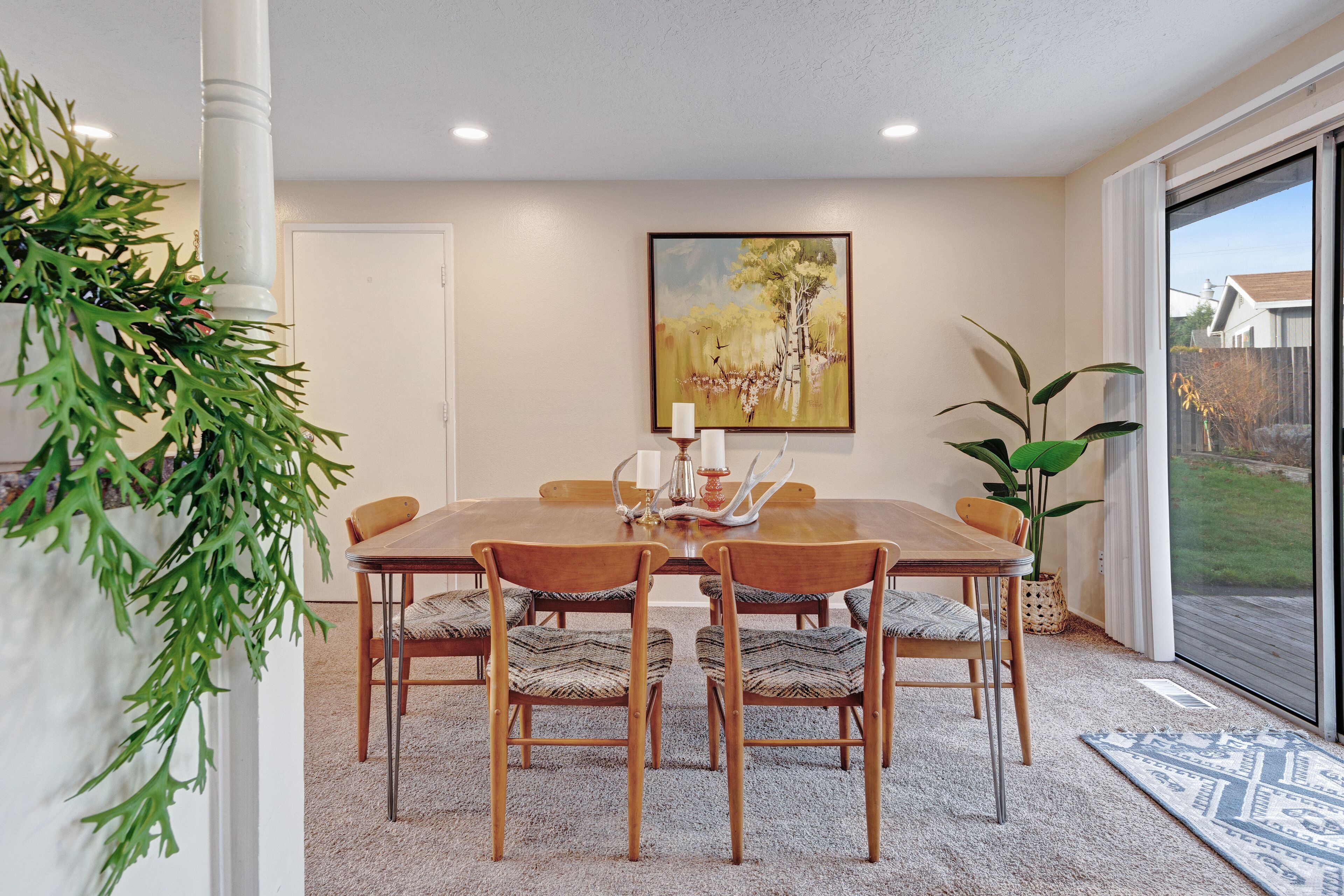 Modern, dog-friendly home with ideal location for work or pleasure