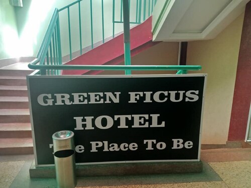 Green Ficus Place