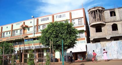 Green Ficus Place