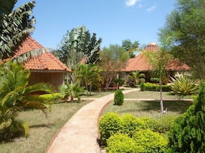 A pathway leading to a series of buildings with red-tiled roofs, surrounded by lush greenery and palm trees.