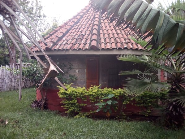 A small house with a tiled roof, surrounded by lush greenery and a bamboo fence.