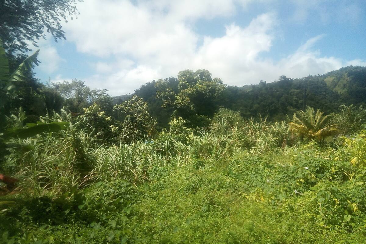 إطلالة على الجبل