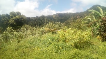 Basic Cabin, 1 Double Bed (Breadfruit) | Mountain view