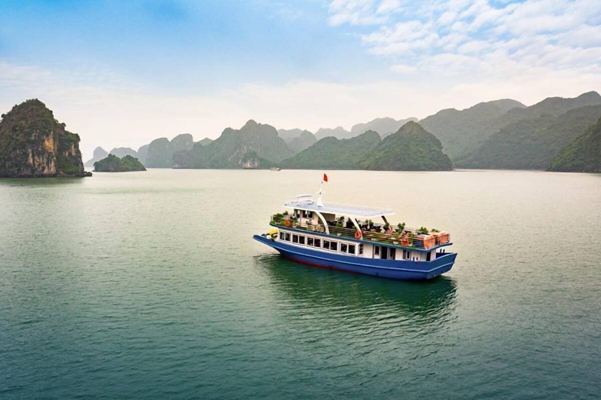 Cabin cơ bản | Khu phòng khách