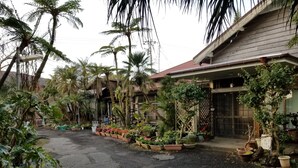 A residential area with a paved driveway, surrounded by lush greenery and palm trees. - Hachijojima Gardenso (Hachijo)