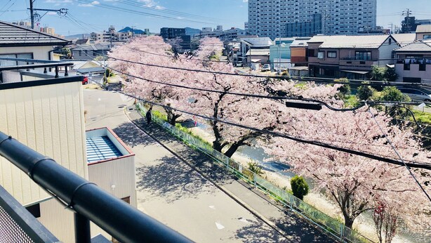 A residential area with cherry blossom trees, a river, and a tall building in the background. - Inuyama Modern Room (Inuyama)