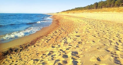 Holiday homes near the lake, mini zoo