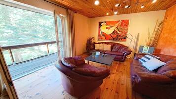 Televisión, chimenea y estéreo