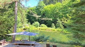 Une terrasse avec une table de pique-nique, deux chaises et un grand parasol, d’où l’on a une vue sur un étang bordé d’arbres denses.