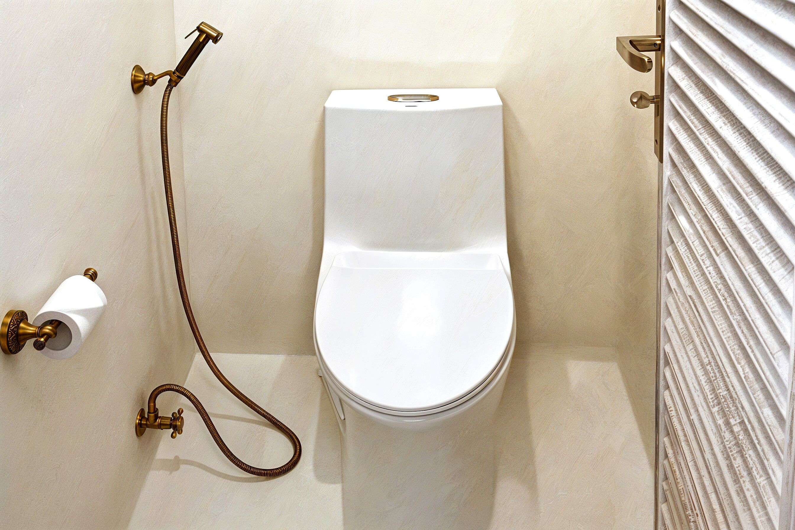A white toilet with a shower attachment and a toilet paper holder on the wall.
