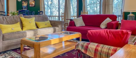 TV, fireplace, books