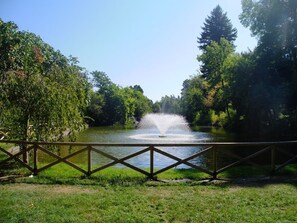 Terrain de l’hébergement 