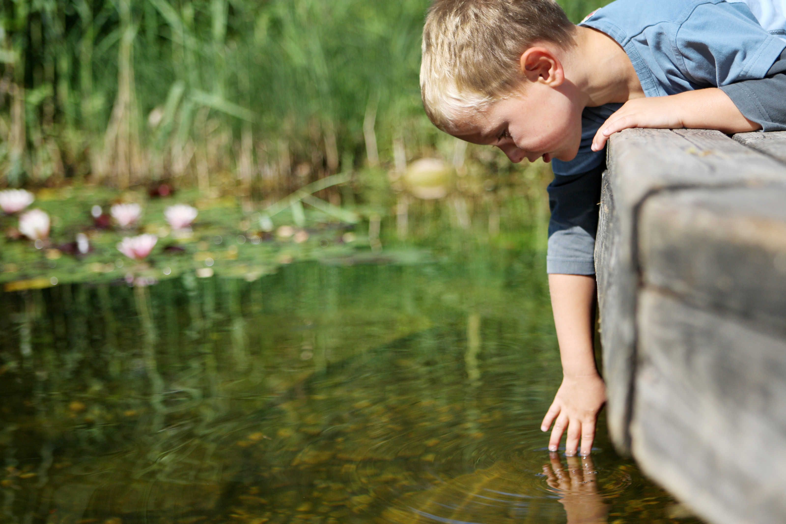 Ein Kind beugt sich über einen hölzernen Rand an einem Teich mit Seerosen und Grünpflanzen im Hintergrund.