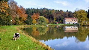 Lake - Foxy Camp Insolite (Hannonville-sous-les-Côtes)