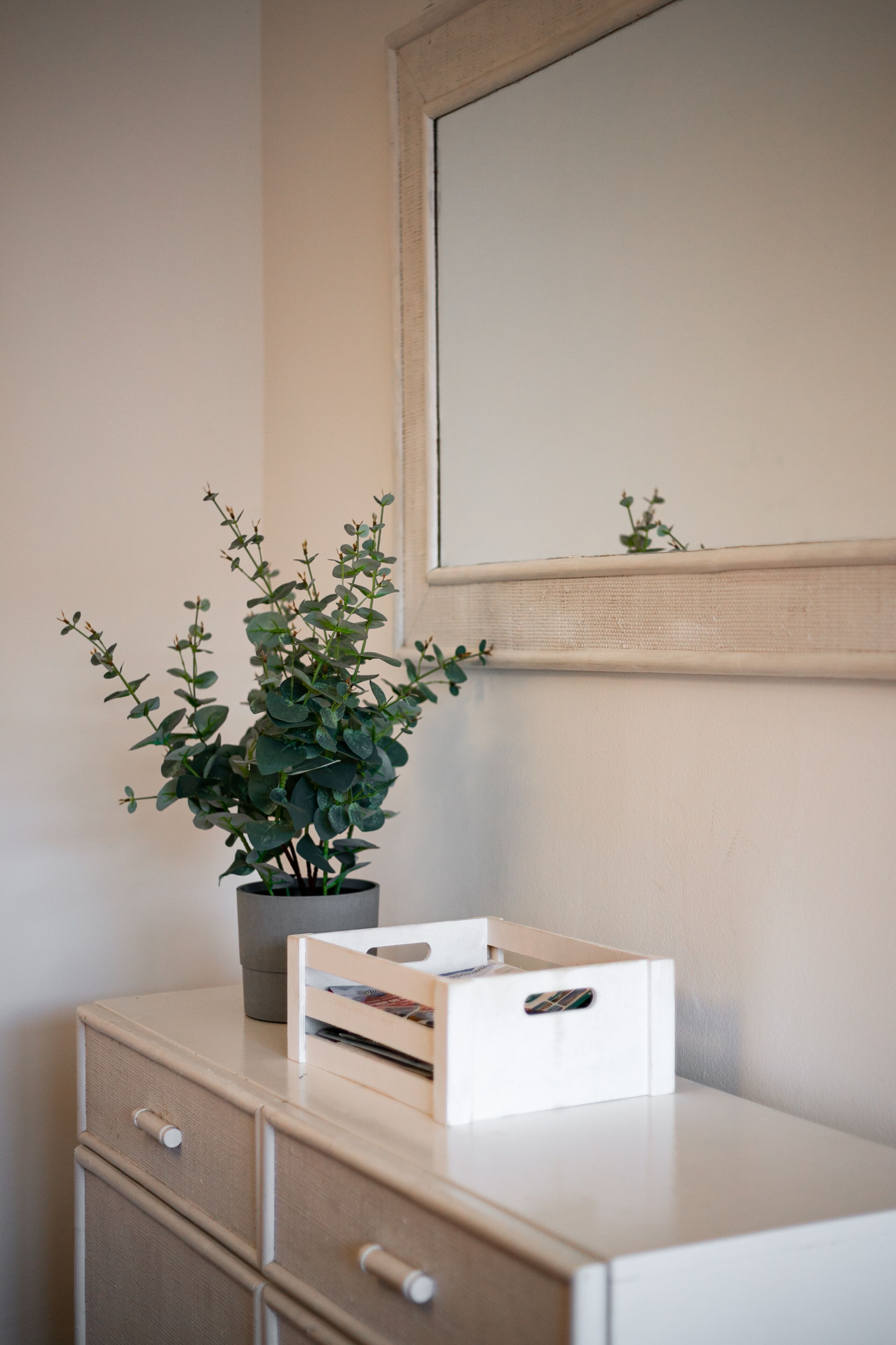 A minimalist room with a wooden dresser, a potted plant, and a mirror on the wall.