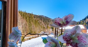 Image sans description, 4 de 28, bouton