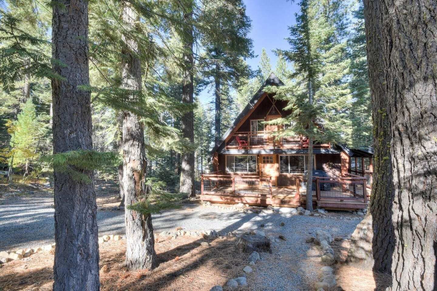 A cabin surrounded by tall pine trees, with a gravel driveway leading to the entrance.