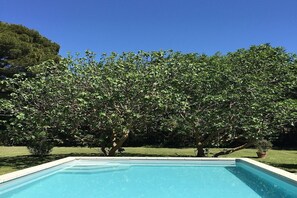 Alberca al aire libre 