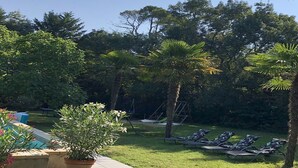A backyard with a pool, lounge chairs, palm trees, and a swing set.