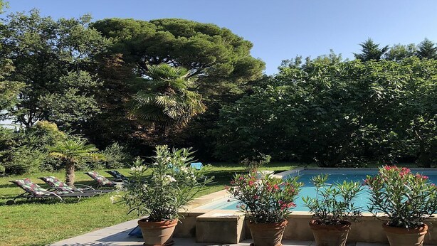 A pool area with lounge chairs and potted plants.
