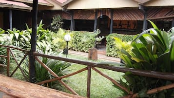 Garden view
