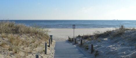 بالقرب من الشاطئ