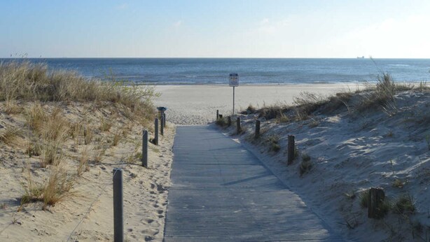 A wooden boardwalk leading to a beach with a signpost in the distance.