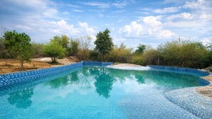 Une piscine d’un bleu éclatant, bordée de carreaux, entourée d’arbres et d’une zone de terre aride.