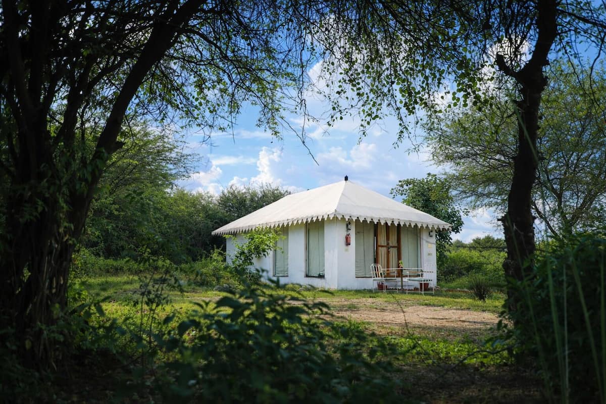 A small, single-story building with a white roof and a porch, surrounded by lush greenery and trees.