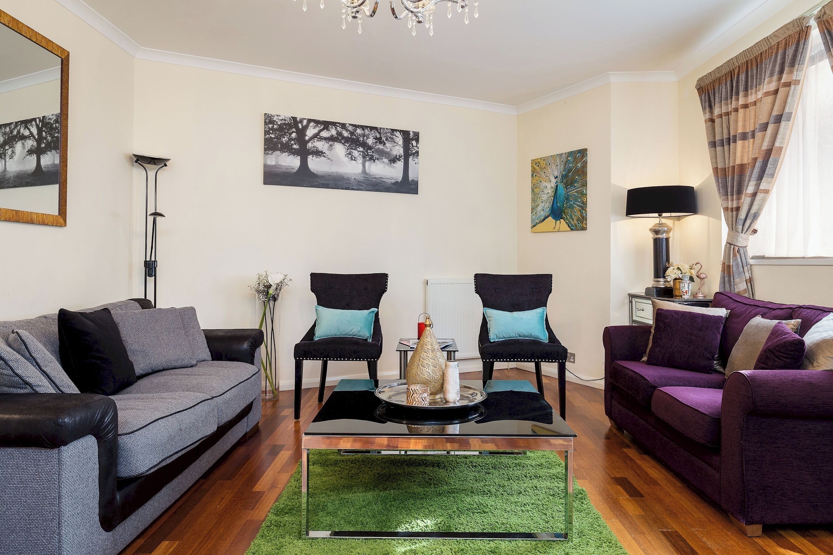 49-inch flat-screen TV with satellite channels, TV