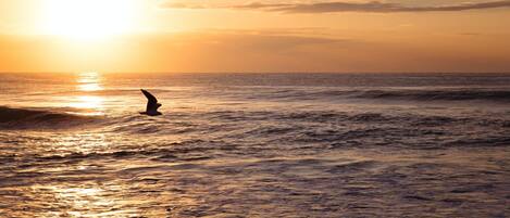 Un atardecer sobre el océano, con la silueta de alguien practicando surf.