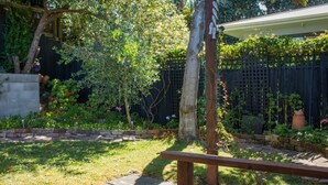 Property grounds - Travellers Retreat 1 Bedroom in Central Auckland (Auckland)