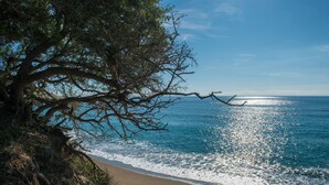 Ein Strand mit einem Baum links und dem Meer rechts.