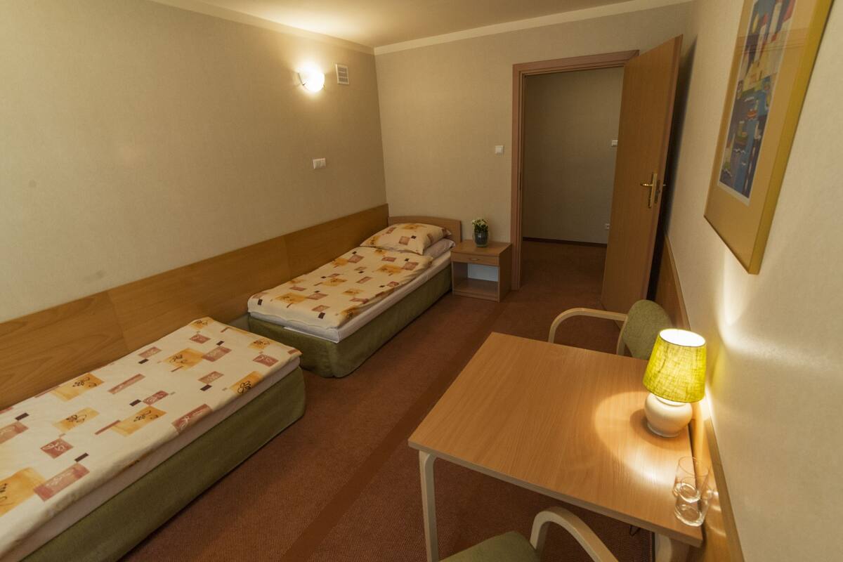Basic-Doppelzimmer | Zimmersafe, Bügeleisen/Bügelbrett, kostenloses WLAN