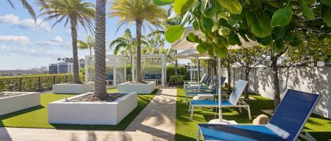 A rooftop garden with palm trees, sun loungers, and a view of the city skyline.