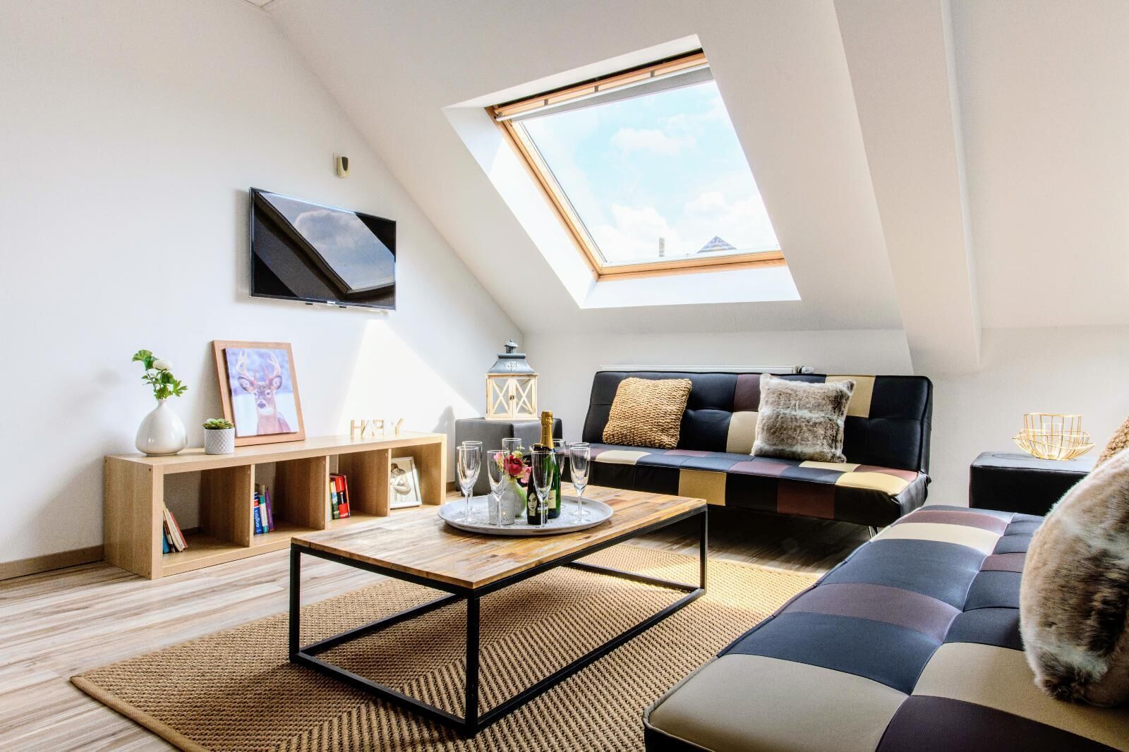 Televisie, een open haard en een filmbibliotheek