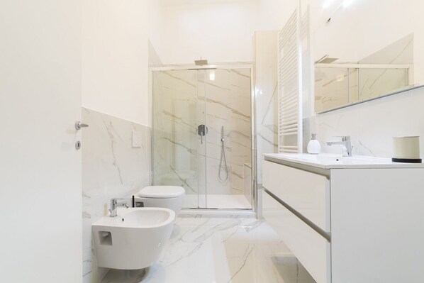 Shower, hair dryer, bidet, towels
