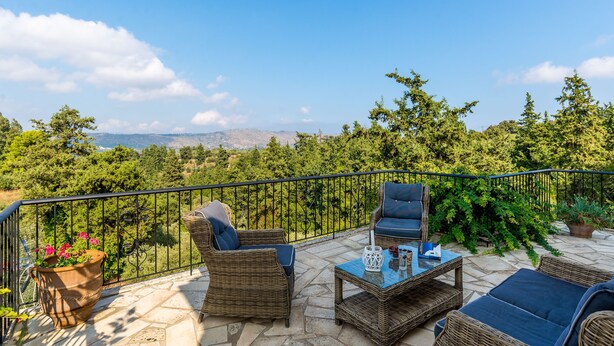 Une terrasse avec des meubles en osier, une table et une plante en pot.