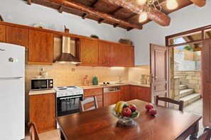 Fridge, microwave, oven, dishwasher - Villa Roussa, beautiful stone villa in traditional village Maza (Maza)