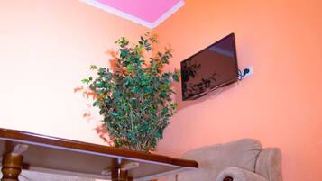 مكتب وواي فاي مجانًا