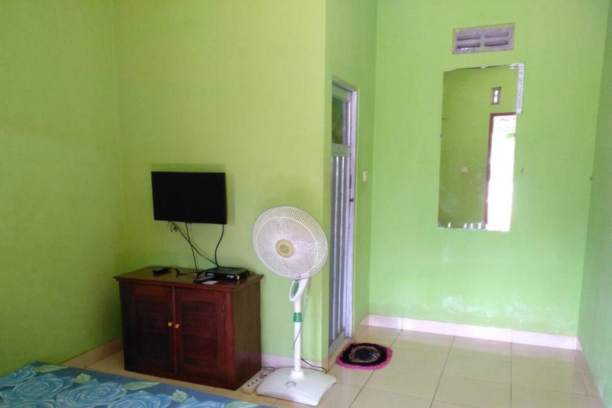 Een kamer met een groene wand, een houten kast, een televisie, een ventilator, een huisdiervak en een deur met een raam.
