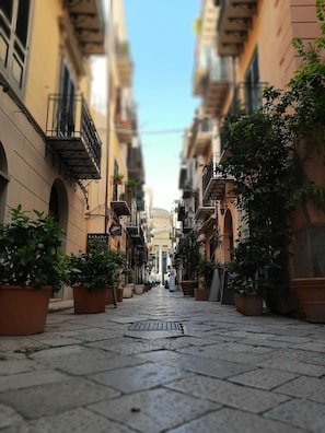 Una calle estrecha flanqueada por edificios y plantas en macetas, bajo un cielo despejado.