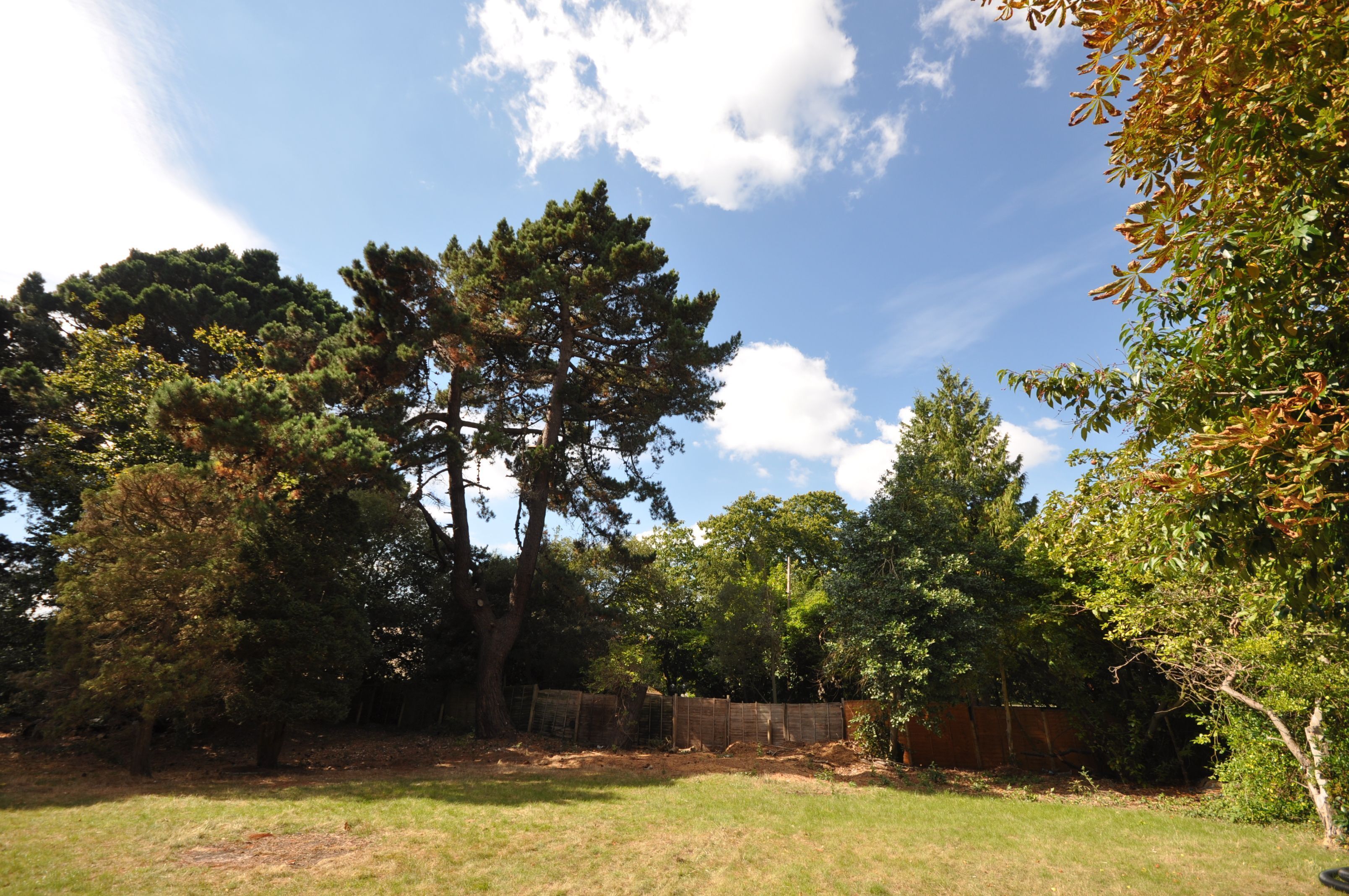 Cottage | Property grounds