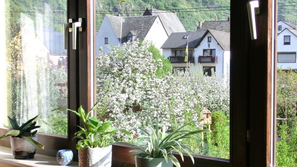Une fenêtre donnant sur des maisons et un arbre aux fleurs blanches.