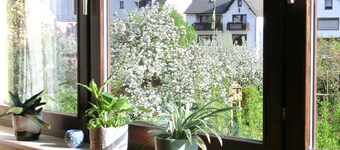 Slott i Mosellen nær Cochem-Koblenz, gratis gjestebillett